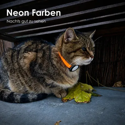 LucyBalu AirTag Katzenhalsband NEMO LucyBalu AirTag Katzenhalsband NEMO