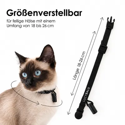 LucyBalu Katzenhalsband WILLY LucyBalu Katzenhalsband WILLY