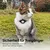 LucyBalu AirTag Katzenhalsband NEMO