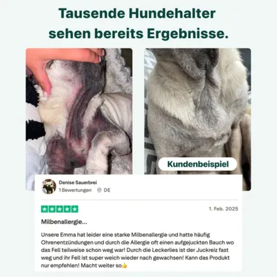 DogSuppy Juckreiz-Linderung 100 % natürlich 60 leckere Snacks
