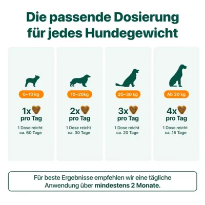 DogSuppy Juckreiz-Linderung 100 % natürlich 60 leckere Snacks