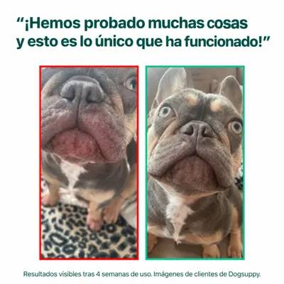 DogSuppy Alivio del Picor 100% Natural Probióticos para Perros 60 Snacks