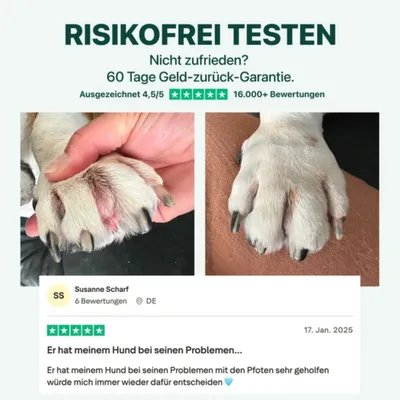 DogSuppy Juckreiz-Linderung 100 % natürlich 60 leckere Snacks