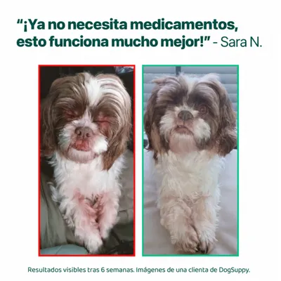 DogSuppy Alivio del Picor 100% Natural Probióticos para Perros 60 Snacks