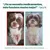 DogSuppy Alivio del Picor 100% Natural Probióticos para Perros 60 Snacks DogSuppy Alivio del Picor 100% Natural Probióticos para Perros 60 Snacks
