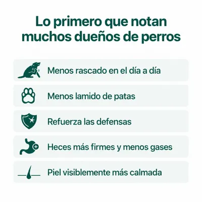 DogSuppy Alivio del Picor 100% Natural Probióticos para Perros 60 Snacks DogSuppy Alivio del Picor 100% Natural Probióticos para Perros 60 Snacks