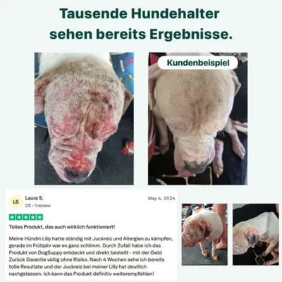 DogSuppy Juckreiz-Linderung 100 % natürlich 60 leckere Snacks
