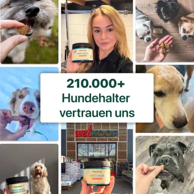 DogSuppy Juckreiz-Linderung 100 % natürlich 60 leckere Snacks