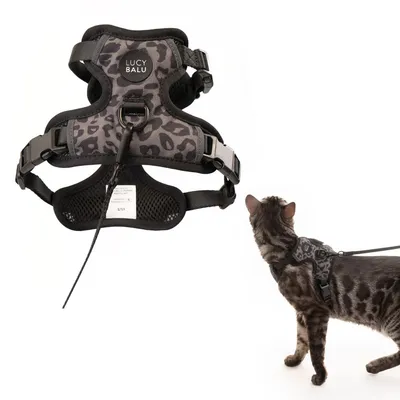 LucyBalu Katzengeschirr EXPLORER LucyBalu Katzengeschirr EXPLORER