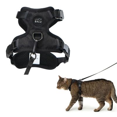 LucyBalu Katzengeschirr EXPLORER