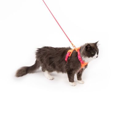LucyBalu Katzengeschirr EXPLORER