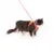 LucyBalu Katzengeschirr EXPLORER
