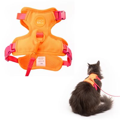 LucyBalu Katzengeschirr EXPLORER