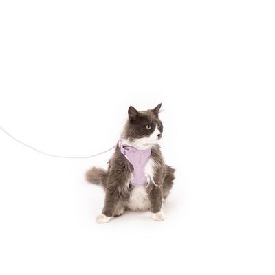 LucyBalu Katzengeschirr EXPLORER