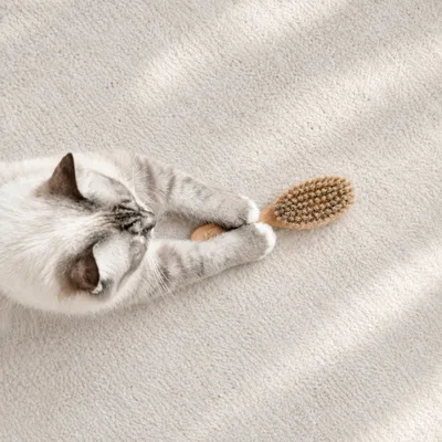 LucyBalu Katzenbürste FIGARO