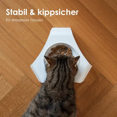 LucyBalu Katzennapf erhöht DELI LucyBalu Katzennapf erhöht DELI