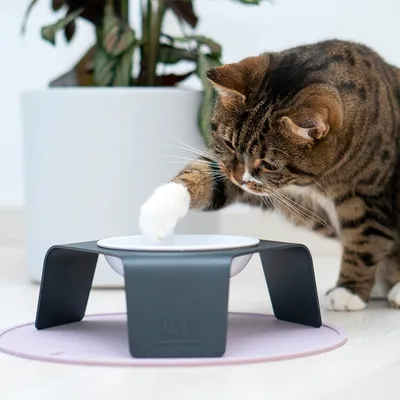 LucyBalu Katzennapf erhöht DELI LucyBalu Katzennapf erhöht DELI