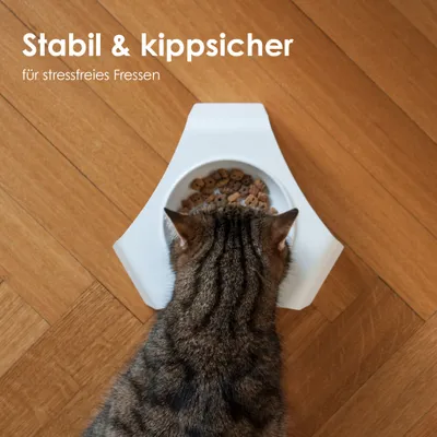LucyBalu Katzennapf erhöht DELI