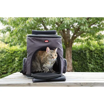 Sac à dos de transport Nomad Expert jusqu'à 10 kg Gris Foncé pour Chien et