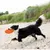 Disque Volant, TPR, flottant pour chiens ø 22 cm Coloris: aléatoires. Disque Volant, TPR, flottant pour chiens ø 22 cm Coloris: aléatoires.