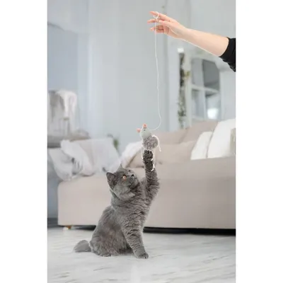 Jouet pour chat souris en peluche grise avec cataire 64cm Gripi Flamingo Jouet pour chat souris en peluche grise avec cataire 64cm Gripi Flamingo