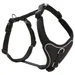 Wolters Geschirr Professional Comfort schwarz/schwarz