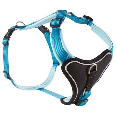 Wolters Geschirr Professional Comfort aqua/azur