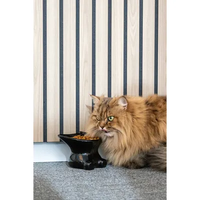 Gamelle en céramique pour chat Doby e 120 ml - Flamingo