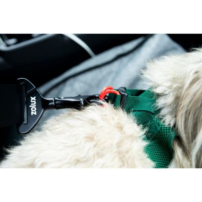 Crochet de Sécurité Auto Universel NOMAD pour Chien