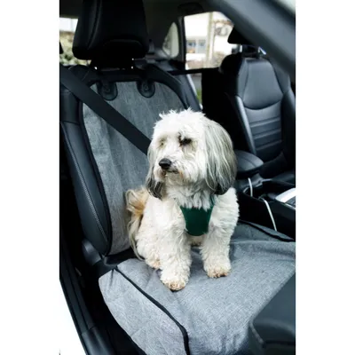 Housse Protège-Siège Avant Imperméable essential NOMAD pour Chien Housse Protège-Siège Avant Imperméable essential NOMAD pour Chien