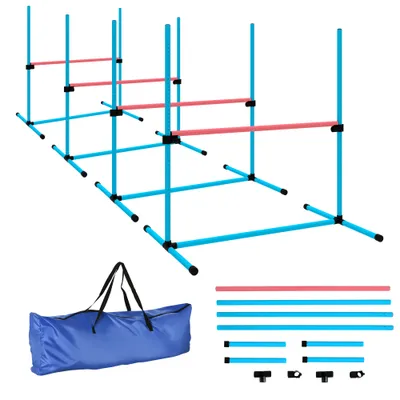 PawHut - Agility sport pour chiens set de 4 obstacles pro - bleu rouge PawHut - Agility sport pour chiens set de 4 obstacles pro - bleu rouge