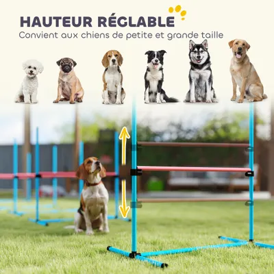 PawHut - Agility sport pour chiens set de 4 obstacles pro - bleu rouge PawHut - Agility sport pour chiens set de 4 obstacles pro - bleu rouge