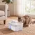 FEANDREA - Fontaine à eau pour chat - 4,5 L silencieuse FEANDREA - Fontaine à eau pour chat - 4,5 L silencieuse