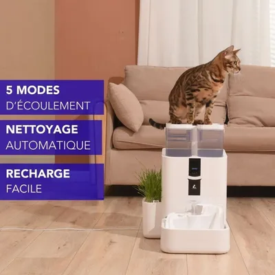 LALAHOME DailyFresh Fontaine intelligente 10 L