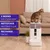 LALAHOME DailyFresh Fontaine intelligente 10 L LALAHOME DailyFresh Fontaine intelligente 10 L