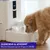 LALAHOME DailyFresh Fontaine intelligente 10 L LALAHOME DailyFresh Fontaine intelligente 10 L