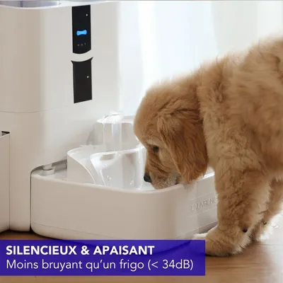 LALAHOME DailyFresh Fontaine intelligente 10 L LALAHOME DailyFresh Fontaine intelligente 10 L
