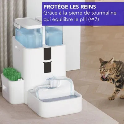 LALAHOME DailyFresh Fontaine intelligente 10 L LALAHOME DailyFresh Fontaine intelligente 10 L