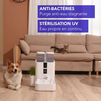 LALAHOME DailyFresh Fontaine intelligente 10 L