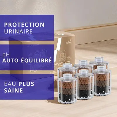 LALAHOME Cartouches de purification RealPura x6