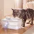 FEANDREA - Fontaine à eau pour chat 4,5 L silencieuse