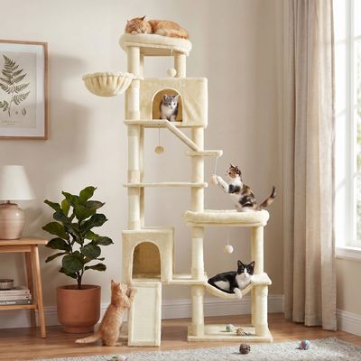 Feandrea - Arbre à Chat - XXL 6 Niveaux