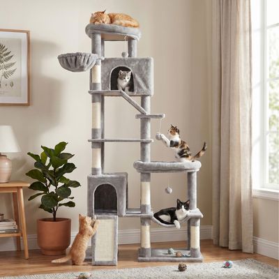 Feandrea - Arbre à Chat - XXL 6 Niveaux