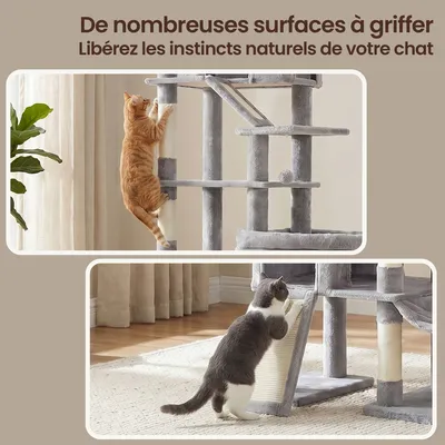 Feandrea - Arbre à Chat - XXL 6 Niveaux