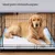 FEANDREA - Tapis Éducateurs pour Chiens - Ultra Absorbants FEANDREA - Tapis Éducateurs pour Chiens - Ultra Absorbants