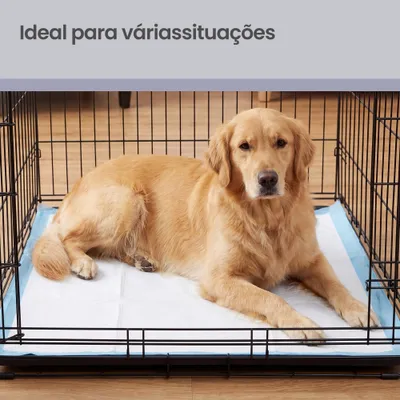 FEANDREA - Tapis Éducateurs pour Chiens - Ultra Absorbants FEANDREA - Tapis Éducateurs pour Chiens - Ultra Absorbants