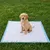 FEANDREA - Tapis Éducateurs pour Chiens - Ultra Absorbants FEANDREA - Tapis Éducateurs pour Chiens - Ultra Absorbants