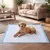 FEANDREA - Tapis Éducateurs pour Chiens - Ultra Absorbants FEANDREA - Tapis Éducateurs pour Chiens - Ultra Absorbants