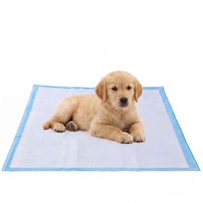 FEANDREA - Tapis Éducateurs pour Chiens - Ultra Absorbants