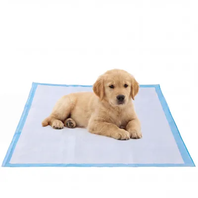 FEANDREA - Tapis Éducateurs pour Chiens - Ultra Absorbants FEANDREA - Tapis Éducateurs pour Chiens - Ultra Absorbants